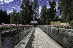 Nydelig parkområde på Kistefos (Foto: Per Sibe)